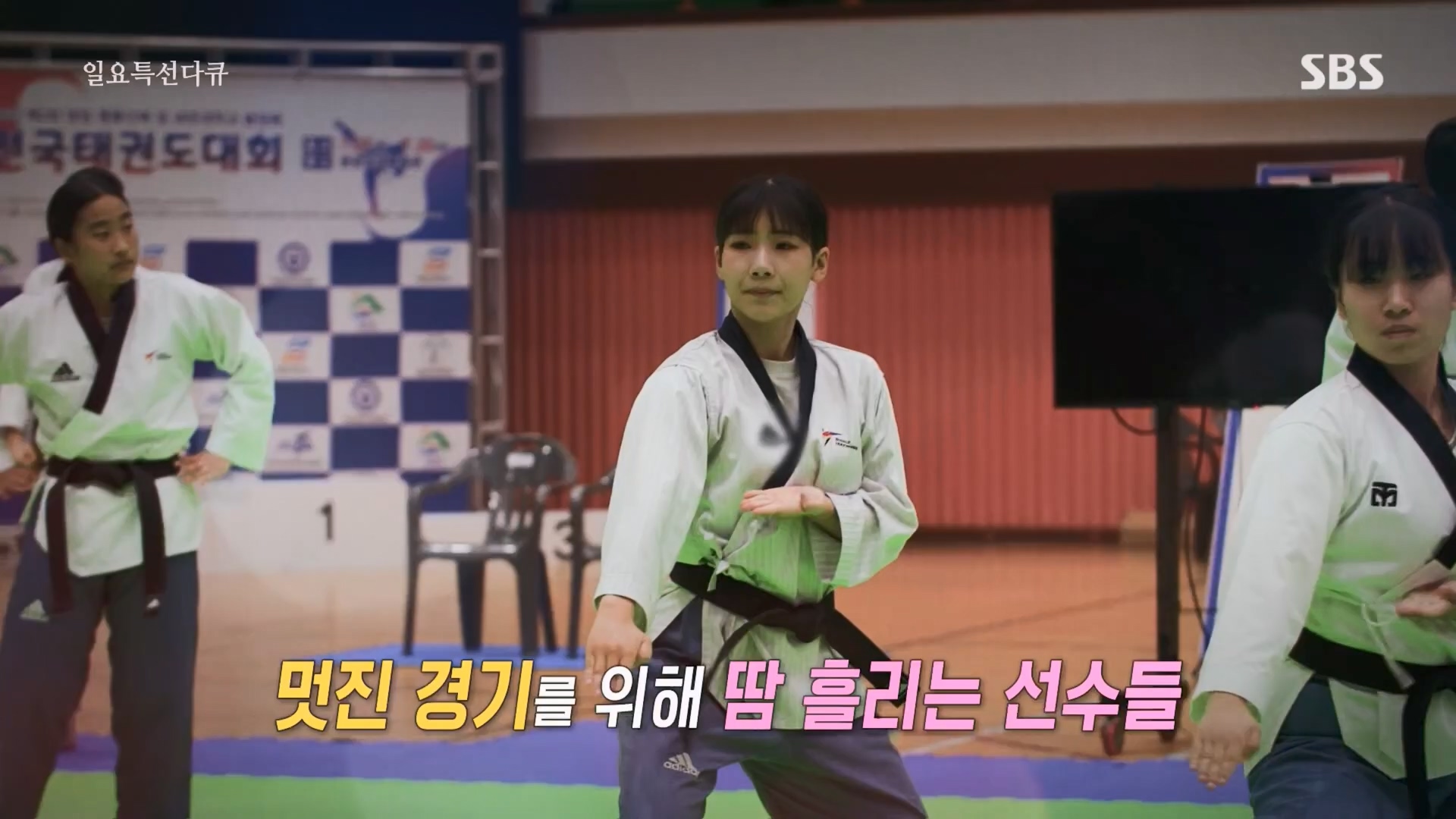 일요 특선 다큐멘터리.E316.230820p.H264-F1RST.mp4_20230821_203741.661.jpg