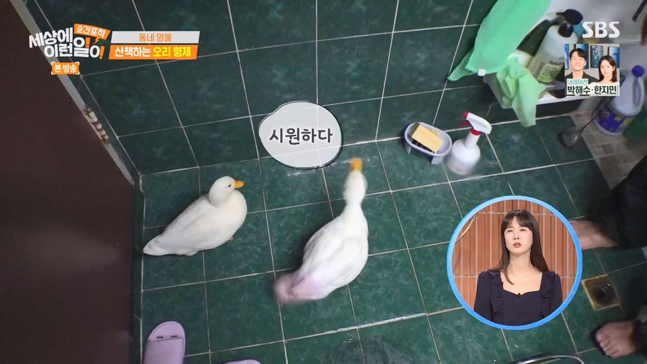 순간포착 세상에 이런일이.E1254.231203p-NEXT.mp4_20231203_140537.242.jpg