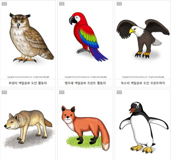  색칠공부 무료도안 사이트 BEST 8곳