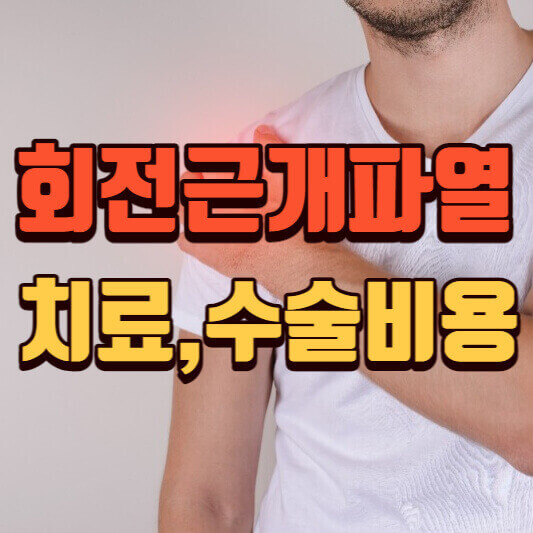  회전근개파열 치료 수술비용 (feat.원인 증상)