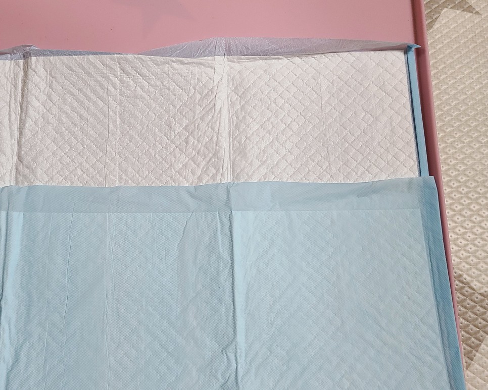 흡수력이 대박이야?이름에 맞는 달라 패드! 개 화장실 패드 10