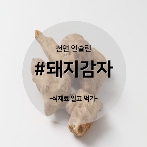  알고 먹기 19. #돼지감자