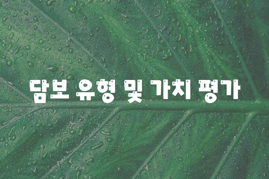 담보 유형 및 가치 평가