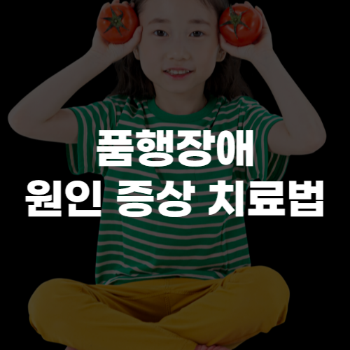 품행장애 원인&#44; 증상&#44; 치료법