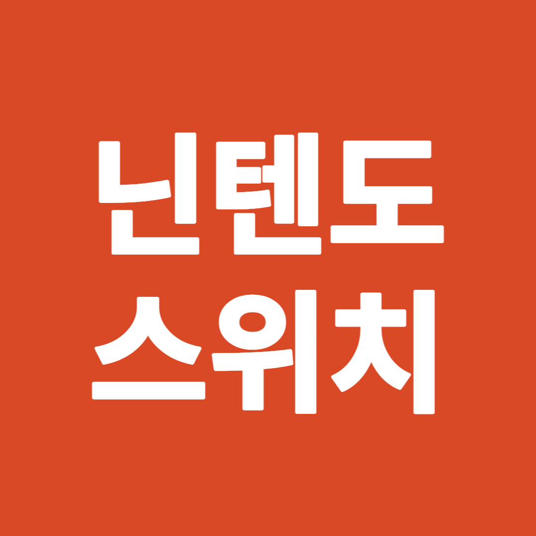 닌텐도 스위치