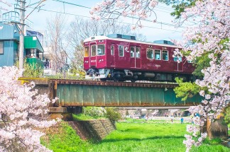 에모이 사진으로 벚꽃이 핀 기차길 위에 전차가 지나가고 있다