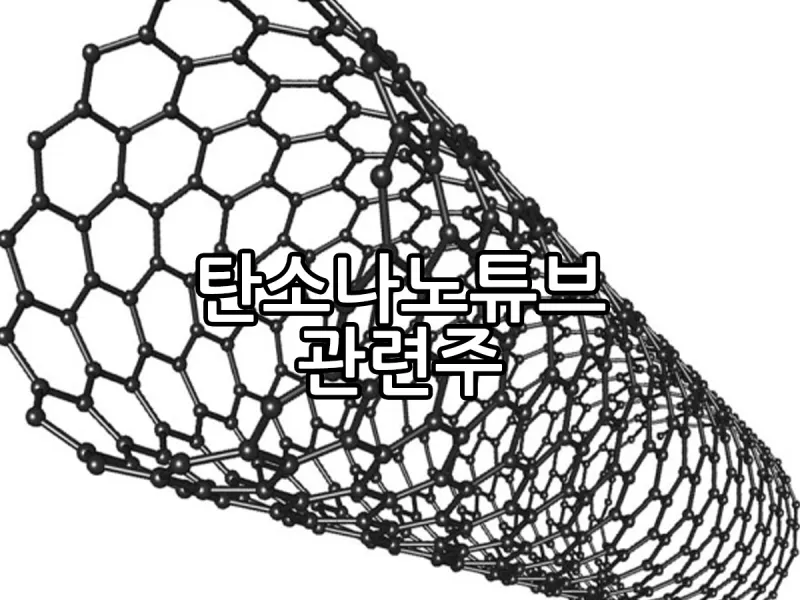 탄소나노튜브 대장주 관련주 TOP5_3