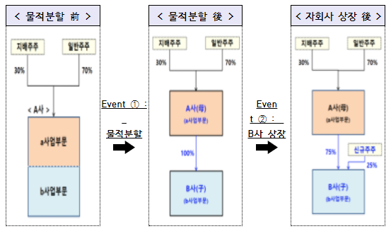  물적분할 등 기업 소유구조 변경시 주주보호 강화
