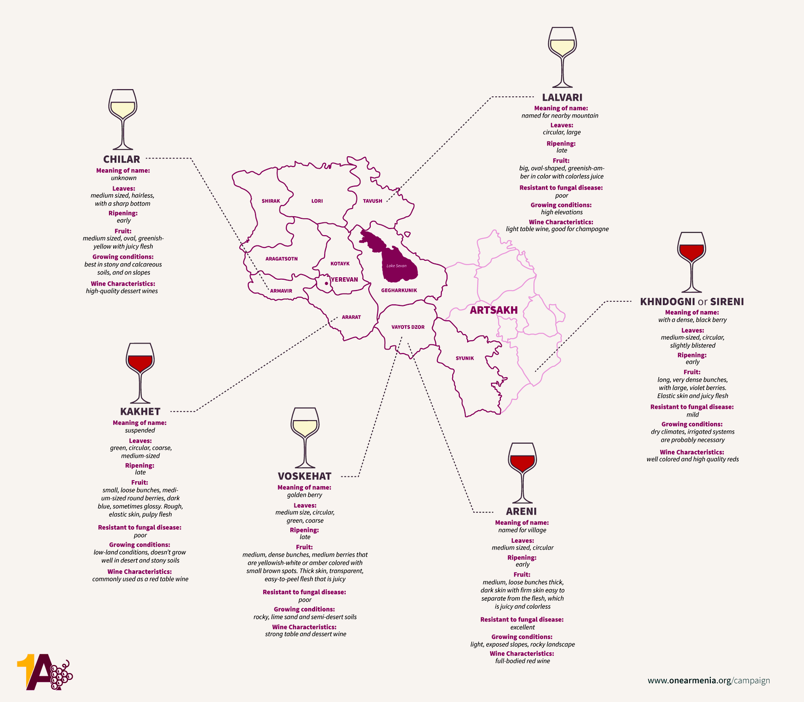 아르메니아의 와인 생산지와 대표 와인 지도