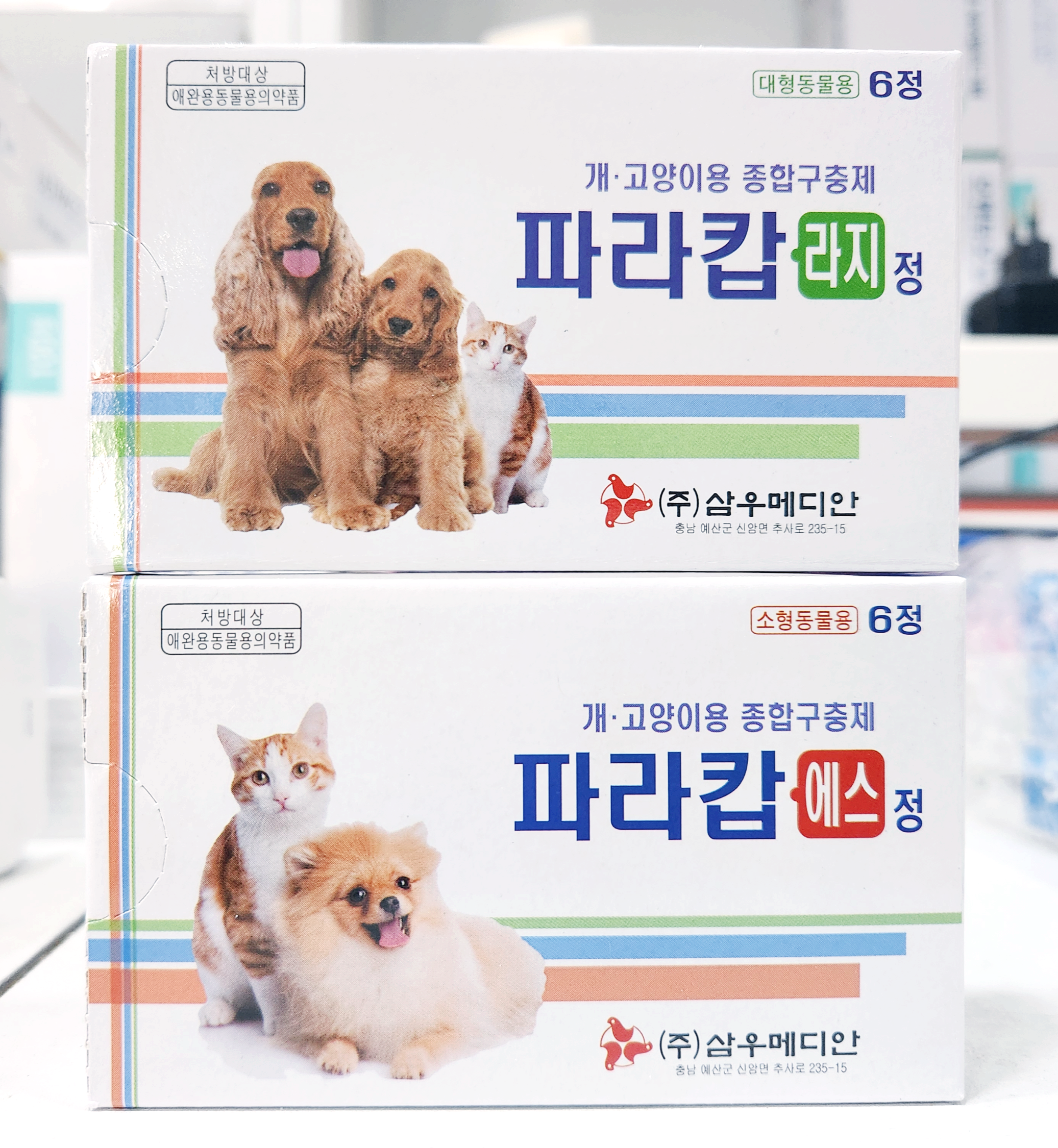 프라메디 이미지