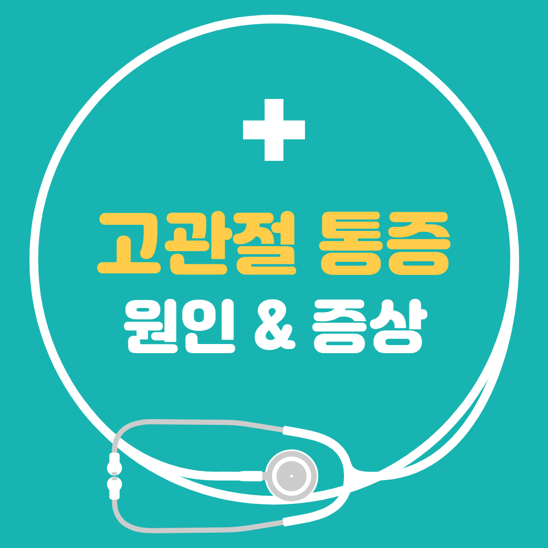  고관절 통증 증상 원인 - 골반 통증 사타구니 통증