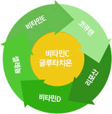  항산화 네트워크 복용법 부작용 최고의 조합법 요약