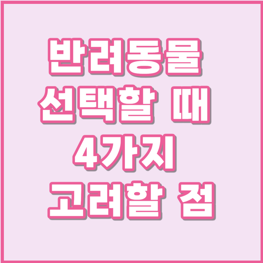 반려동물 선택할 때 4가지 고려할 점
