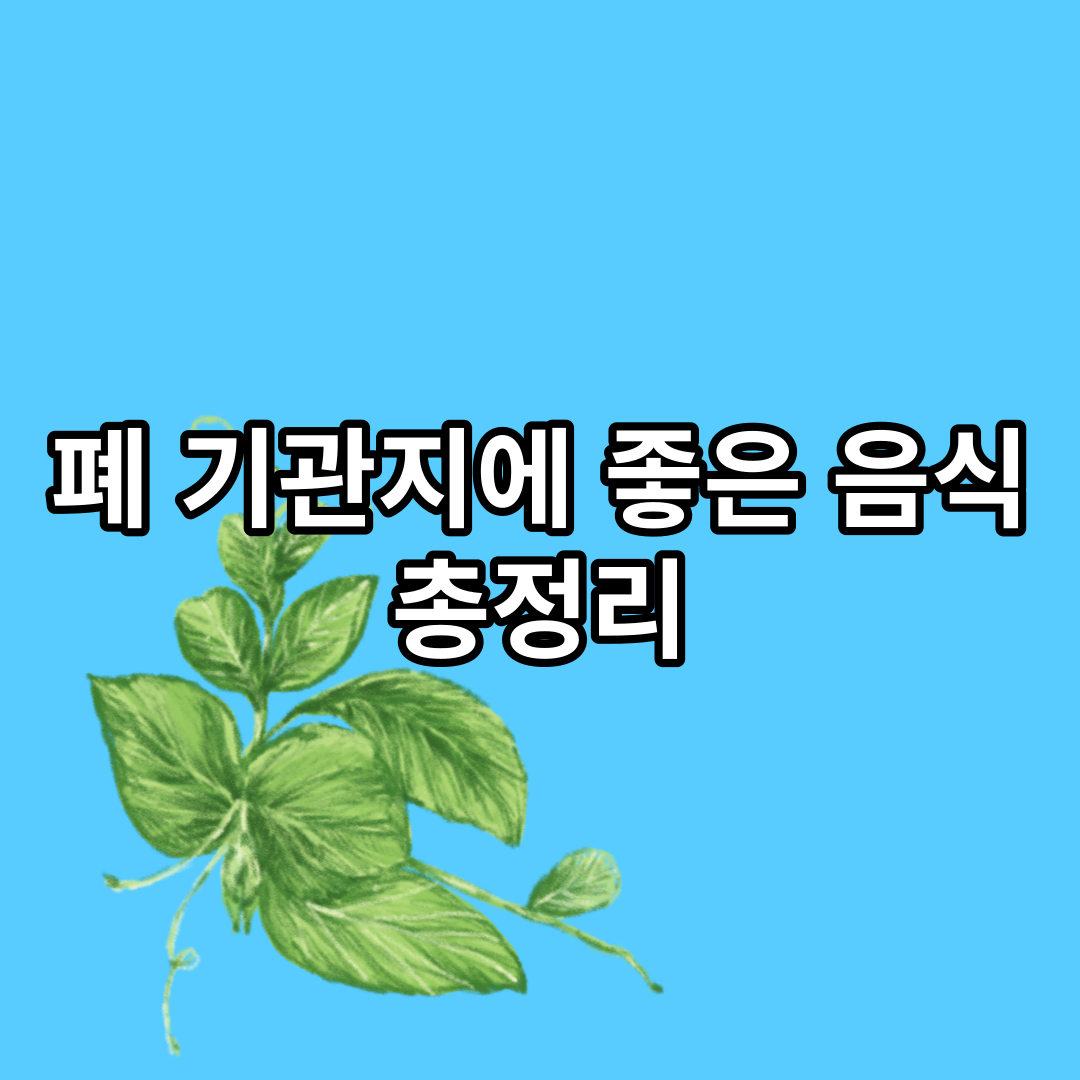  폐 기관지에 좋은 음식 총정리