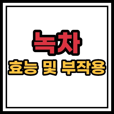  녹차 효능 카페인