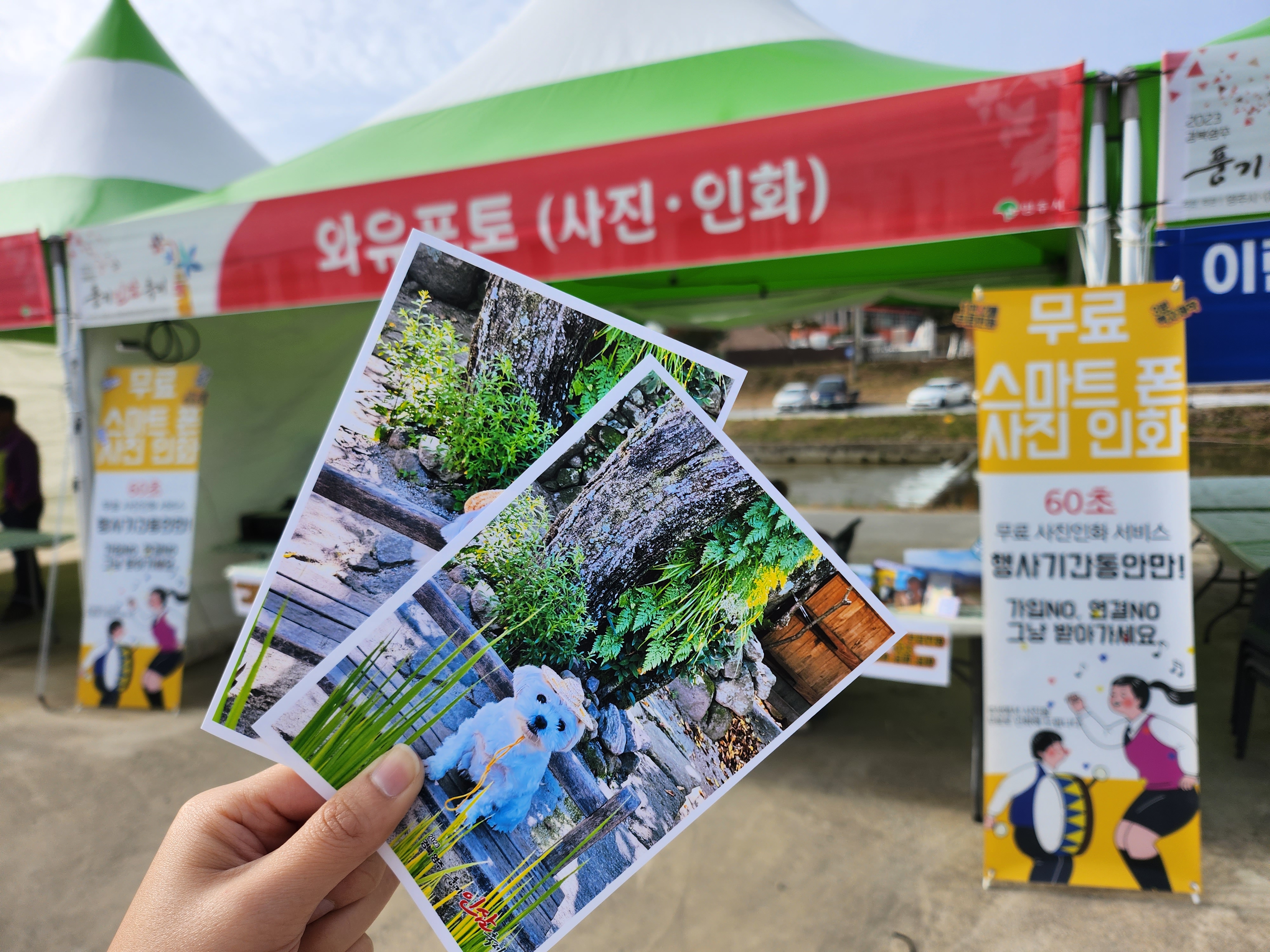 풍기인삼축제 2023: 코로나 이후의 희망과 즐거움을 찾아서