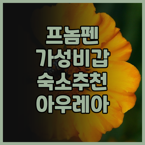 아우레아 딜라이트 호텔.. 가성비 최