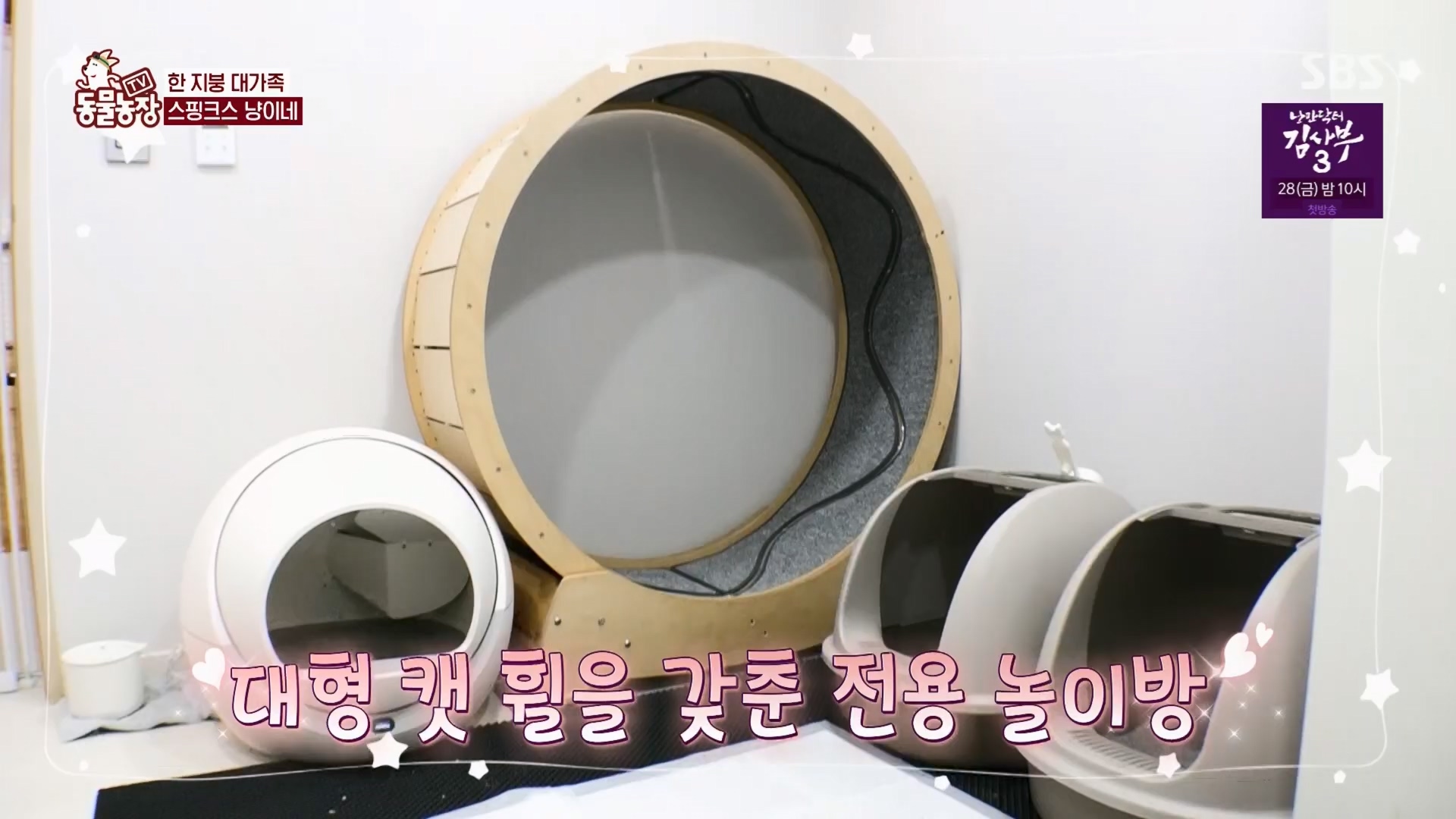 TV 동물농장.E1116.230416p.H264-F1RST.mp4_20230418_194205.848.jpg