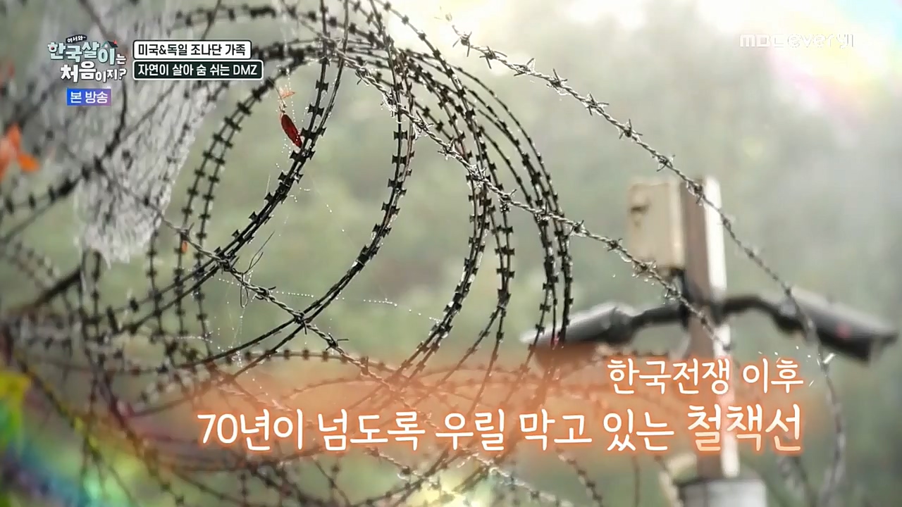 어서와 한국살이는 처음이지.E01.221221p-NEXT.mp4_20221221_202105.601.jpg