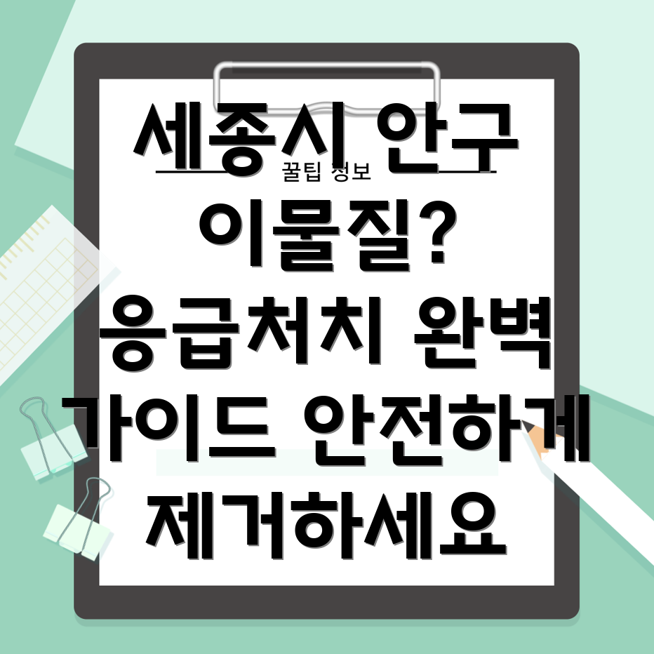 안구 이물질 제거