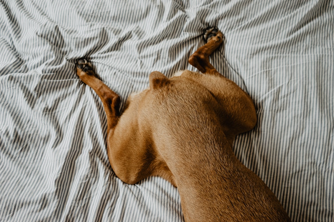Bedding