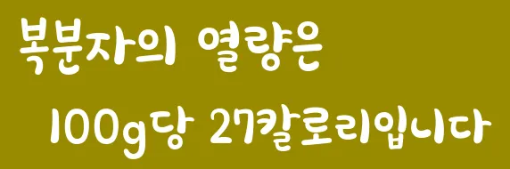 복분자의 열량은 100g당 27칼로리입니다