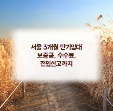 서울 3개월 단기임대 보증금, 수수료, 전입신고까지