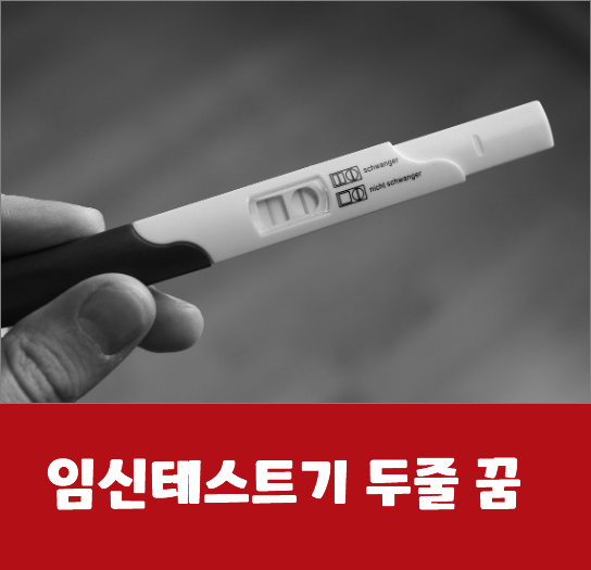 임신테스트기 두줄 꿈