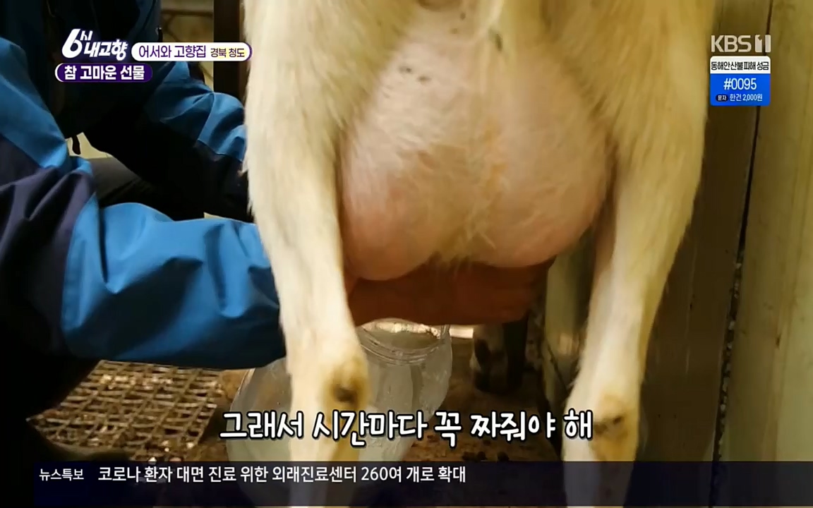 6시 내고향.E7498.220329p.H264-F1RST.mp4_20220329_184035.259.jpg