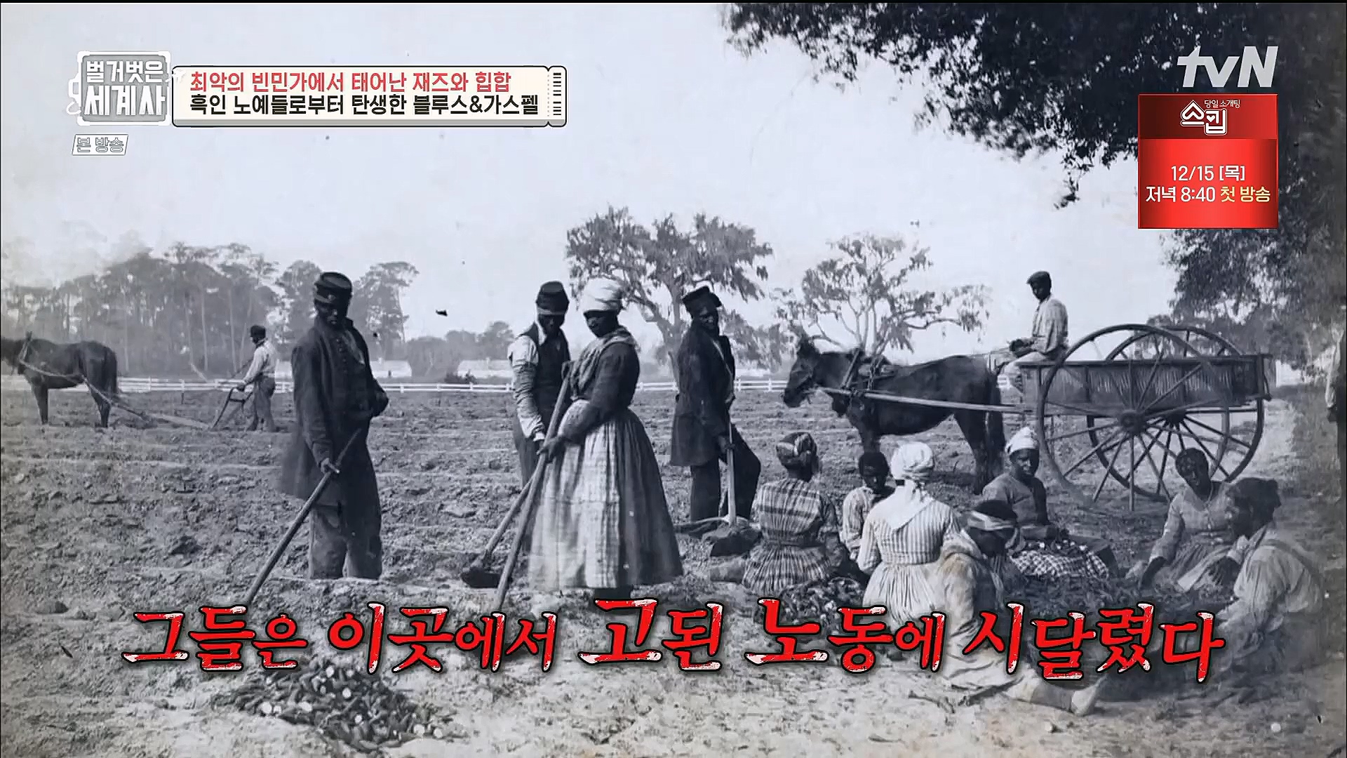 벌거벗은 세계사.E77.221213p.H264-F1RST.mp4_20230112_205026.509.jpg