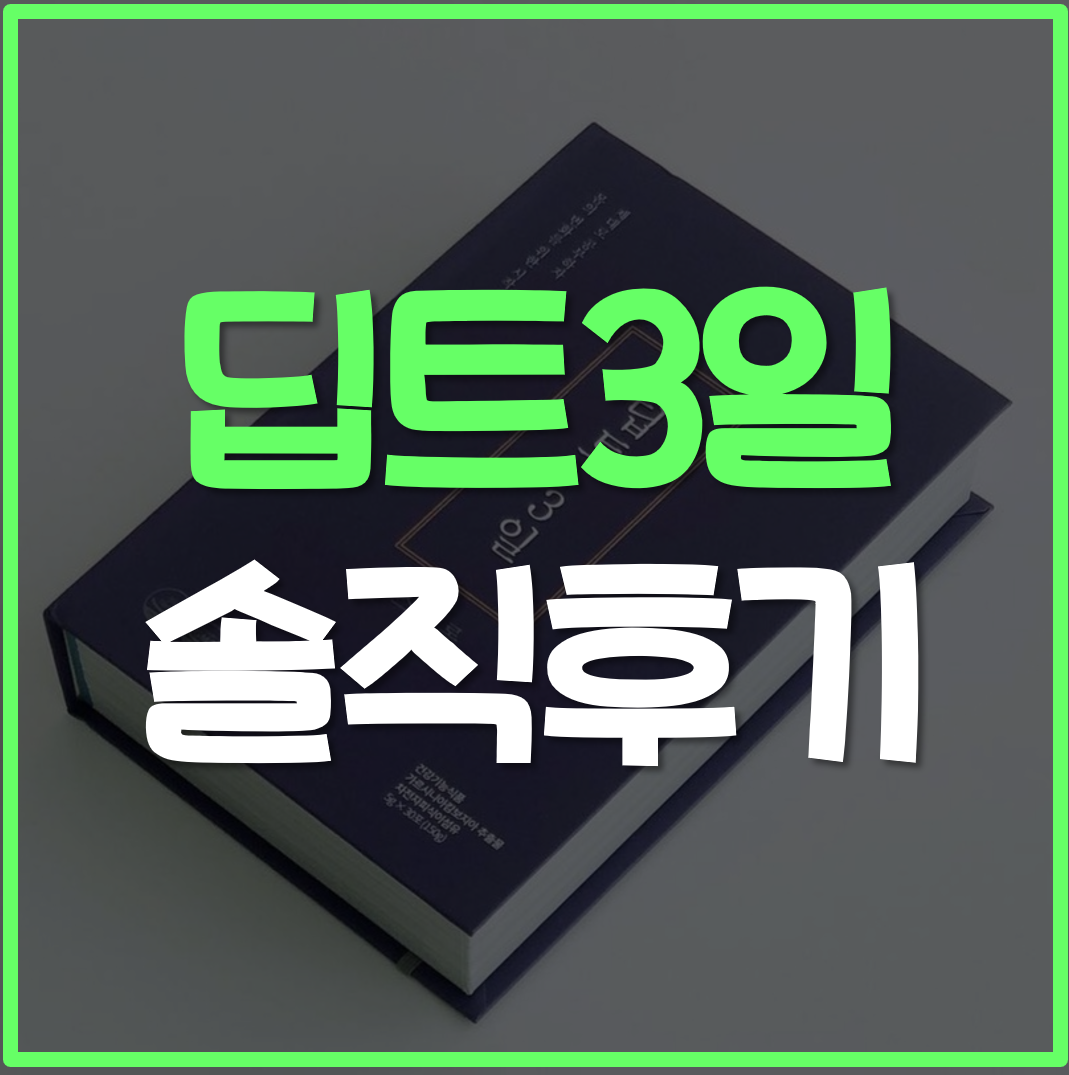 딥트3일 솔직후기