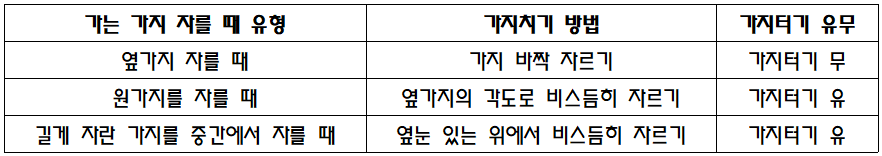  가지치기 방법과 관리