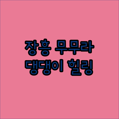 장흥 '무무라 스테이', 반려견과 함