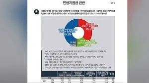 민생지원금 25만원