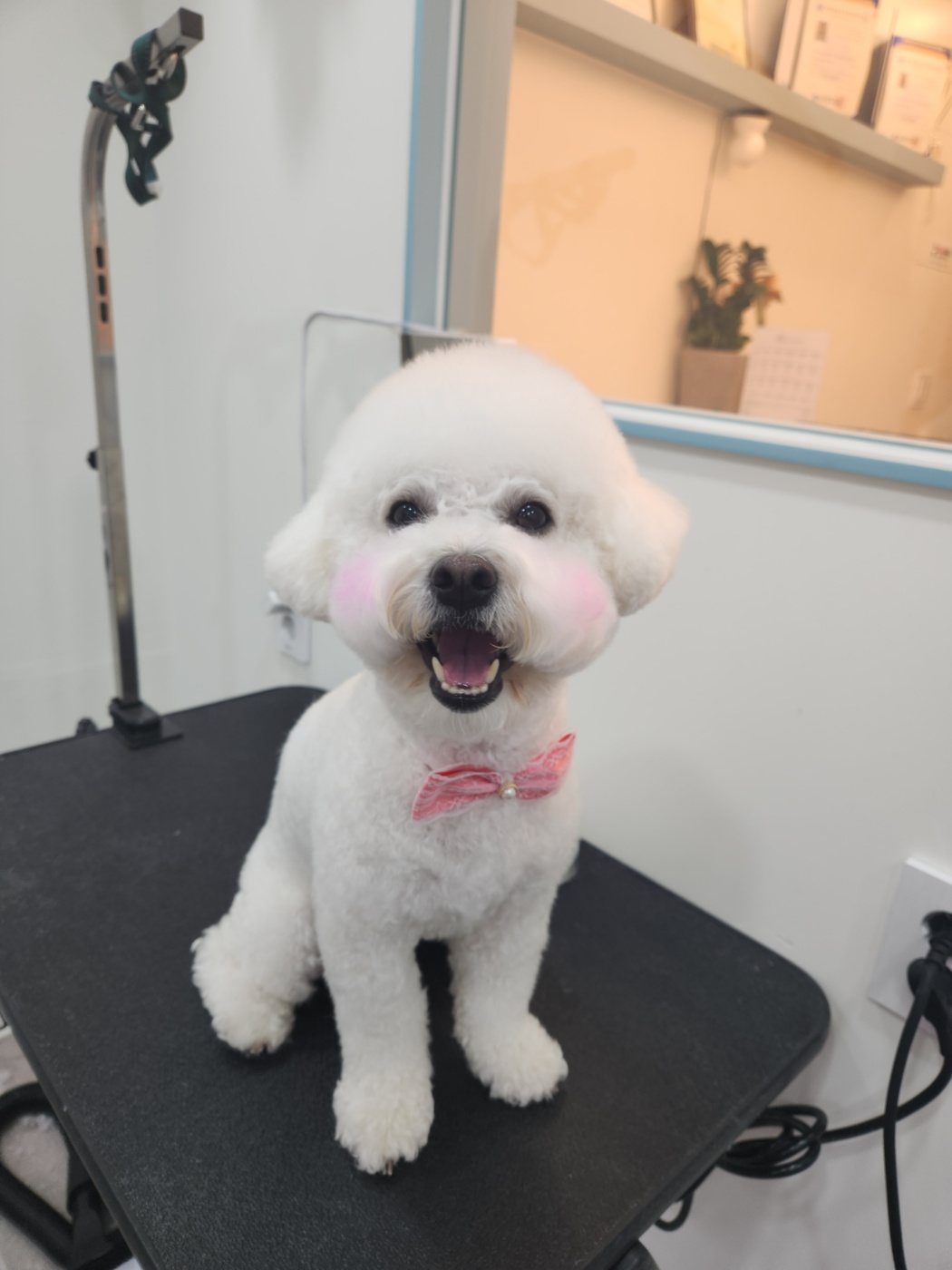 봉봉미용실 이미지