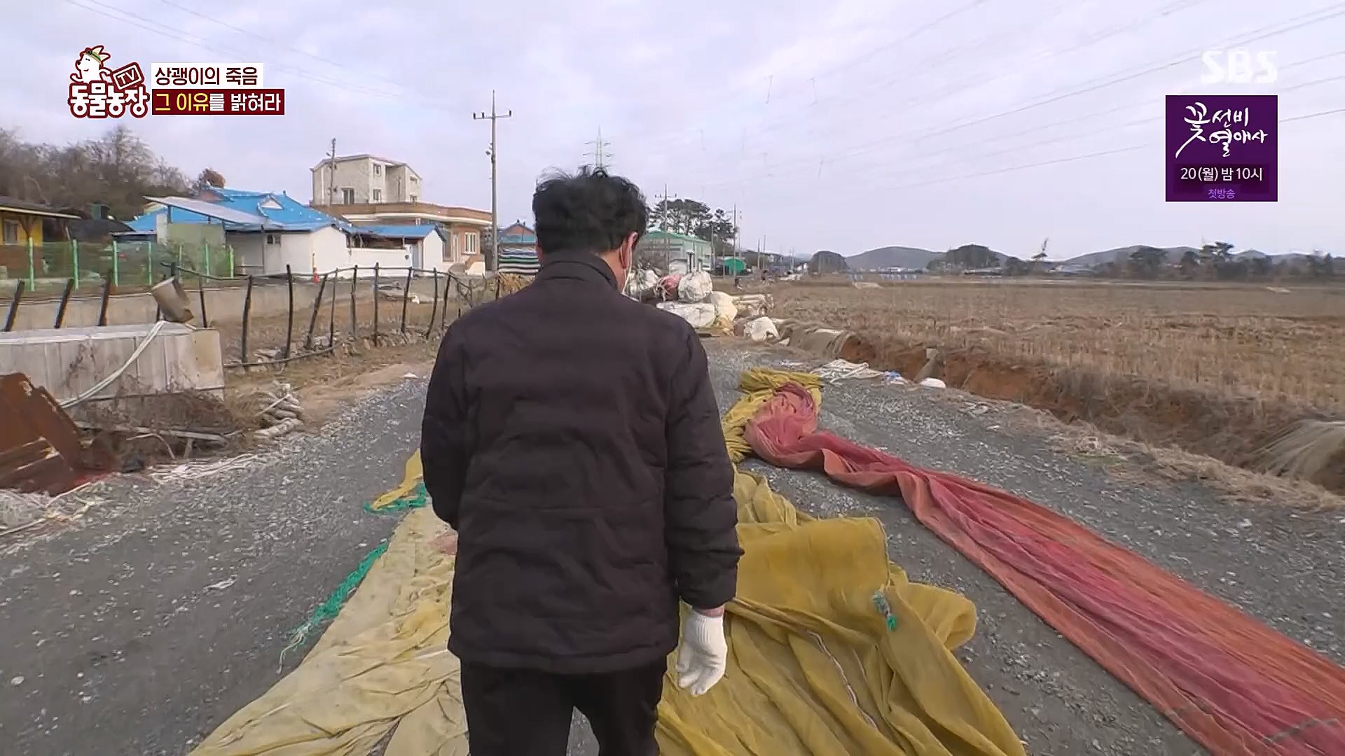 TV 동물농장.E1111.230312p.H264-F1RST.mp4_20230312_180008.710.jpg