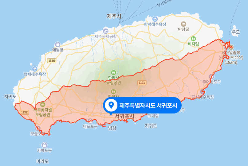  2021년 3월 - 제주 서귀포시 중앙도서관 편도 2차로 횡단보도 교통사고