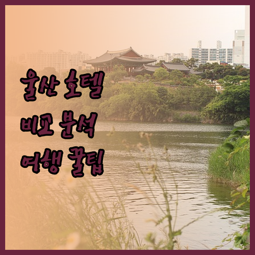 울산 호텔 고민 끝! 위치, 가격, 