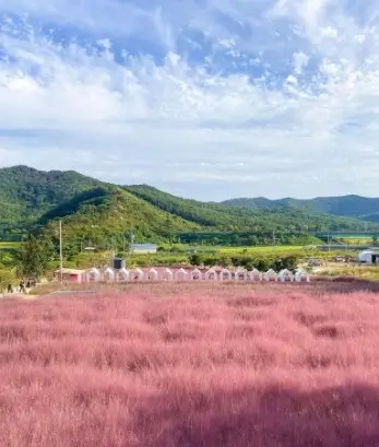 고창 청농원