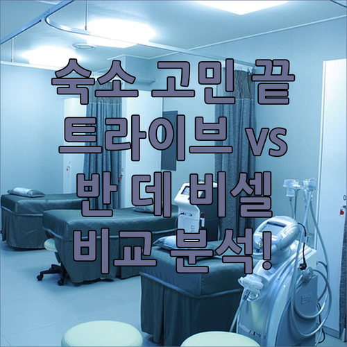 암스테르담 여행 숙소 고민? 트라이브