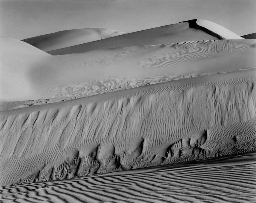 Sand Dunes&#44; Oceano ~ 47SO&#44; 1936ⓒEDWARD WESTON
