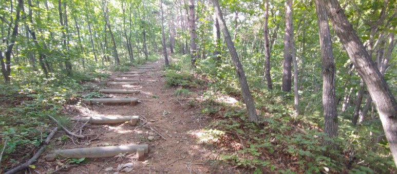 제진검문소 - 통일전망대 출입신고소 해파랑길 50코스 : 15