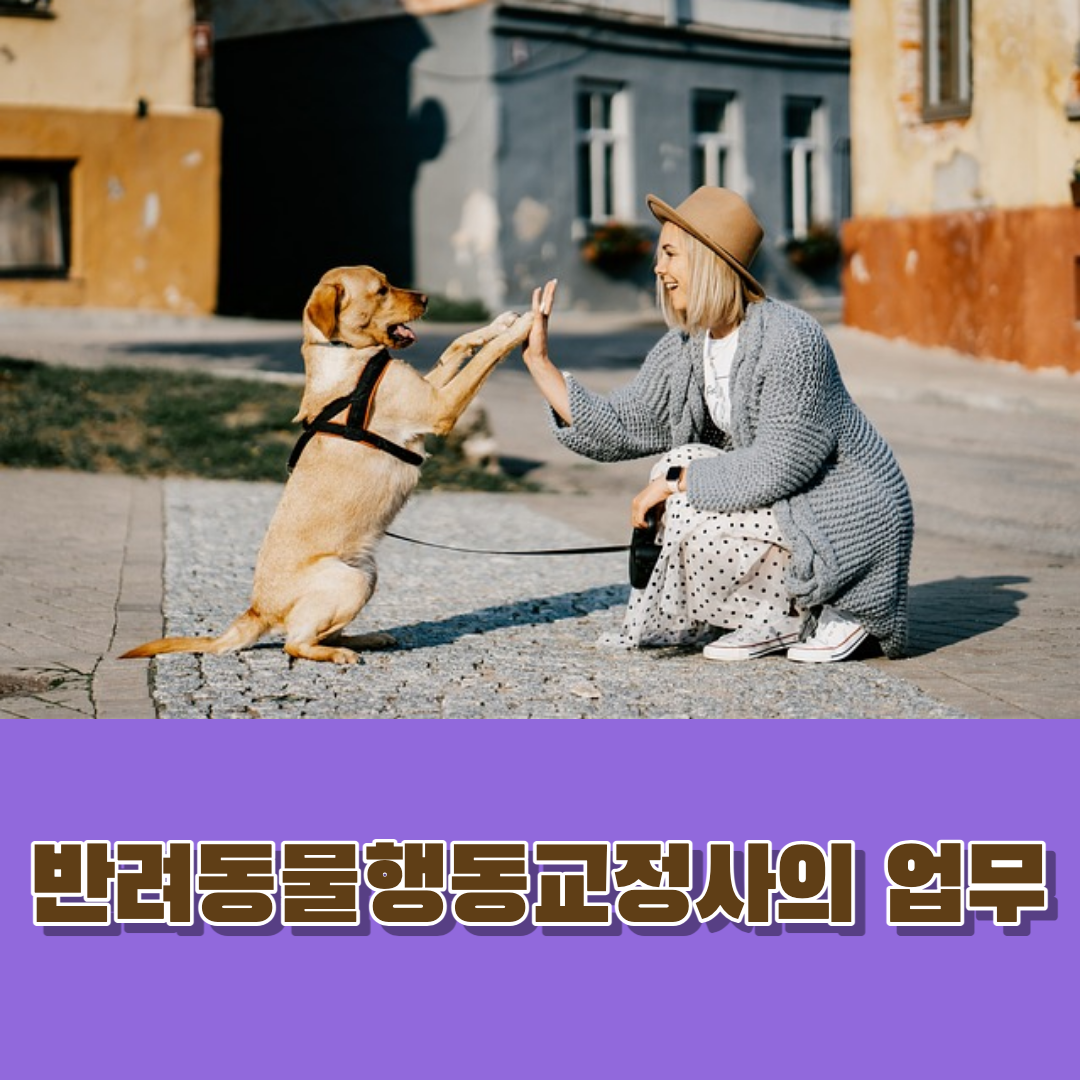 반려동물교정사의 업무.