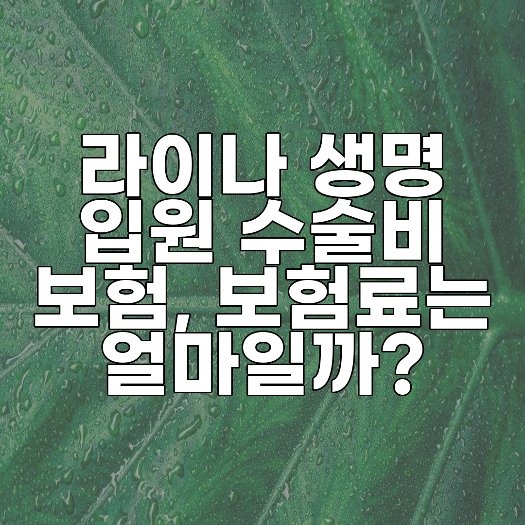 라이나 생명 입원 수술비 보험, 보험료는 얼마일까