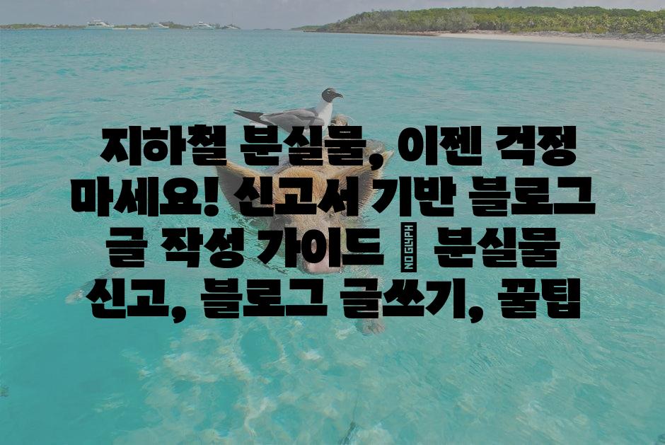 샘플 (1)