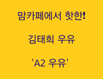  "맘카페에서 핫한 김태희 우유  'A2 우유' 유당불내증 있는 사람이 마셔도 배 안아픈 우유"
