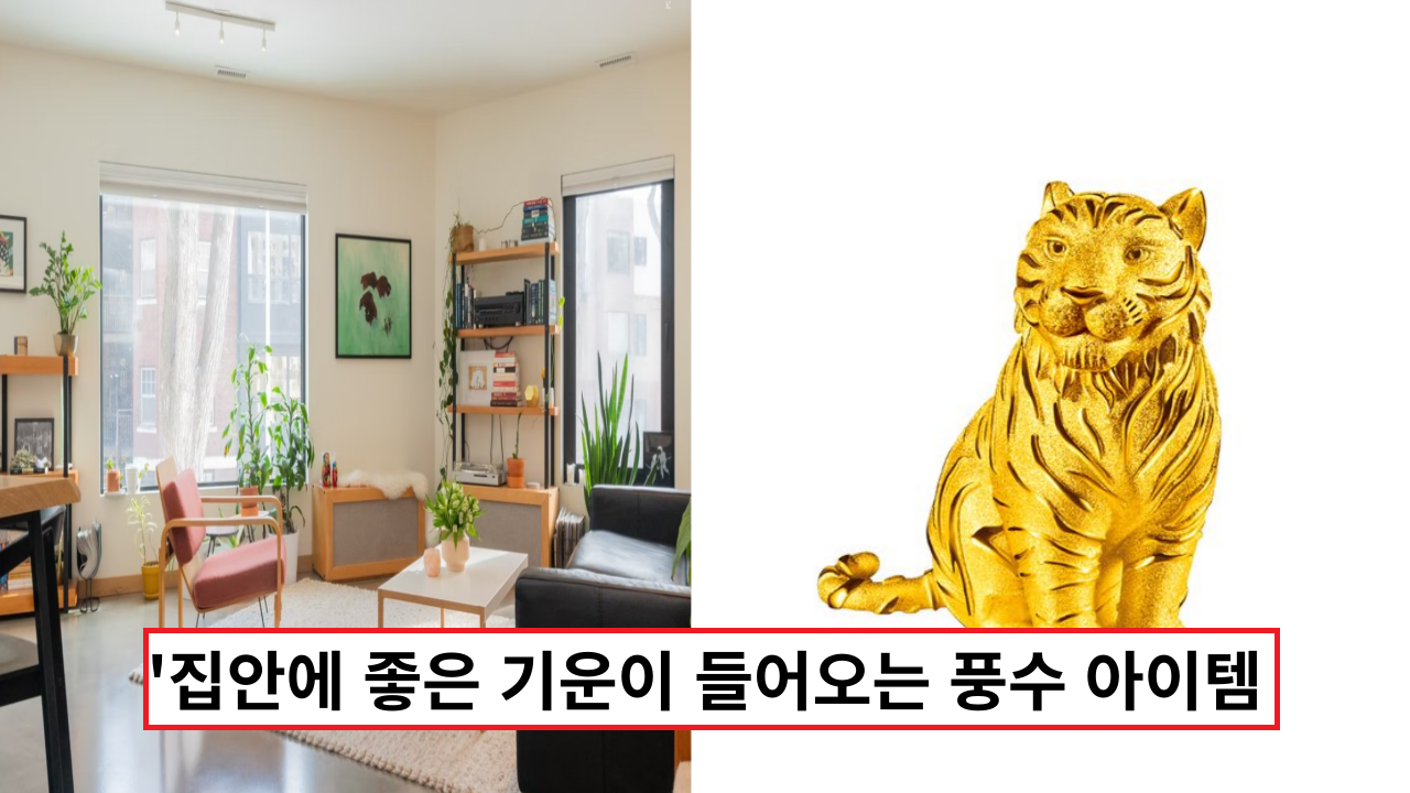  '집안에 좋은 기운이 들어와요' 정말 중요한 풍수 아이템