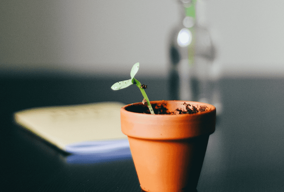 cultivating a growth mindset is a valuable skill that can help us achieve our goals&#44; overcome obstacles&#44; and live a more fulfilling life. By embracing challenges&#44; learning from failure&#44; and developing a growth-oriented community&#44; we can shift our mindset from fixed to growth and unlock our full potential.