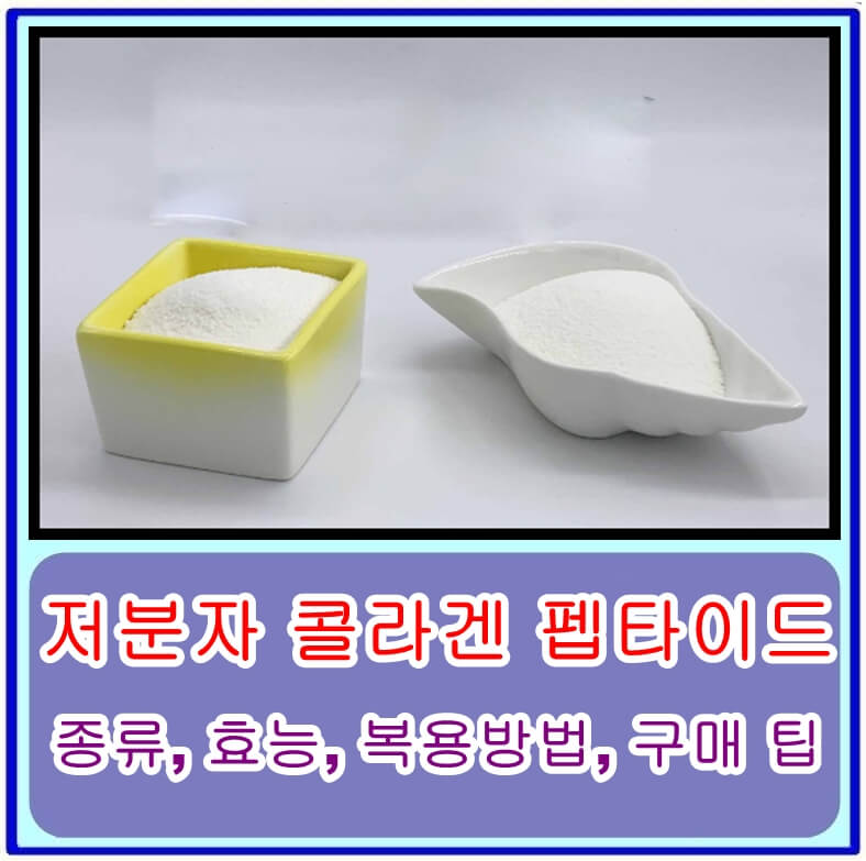  저분자 콜라겐 펩타이드의 종류, 효능, 복용방법, 구매 팁