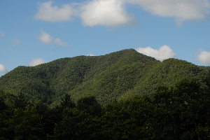 만인산자연휴양림